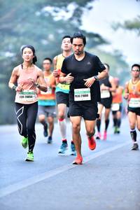 BIB: 20054, 21880
                            <button type="button" onclick="openModal(10117429)" class="btn btn-primary btn-sm float-right btn-popup" data-toggle="modal" data-target=".modal-high-quality">
                        <i class="fas fa-shopping-cart"></i> Add to Cart
                    </button>
                                            <button type="button" onclick="isThisMe(10117429, true)" class="btn btn-success btn-sm float-right btn-popup btn-isme hidden" data-toggle="tooltip" data-placement="bottom" title="นี่คือรูปของคุณใช่ไหม คลิกที่นี่เพื่อเอาเข้าอัลบั้ม">
                        <i class="fas fa-plus"></i> Add to album
                    </button>
                    <button type="button" onclick="isThisMe(10117429, false)" class="btn btn-warning btn-sm float-right btn-popup btn-isnotme hidden">
                        <i class="fas fa-ban"></i> Remove from album
                    </button>